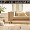 Do Air Purifiers Actually Work?